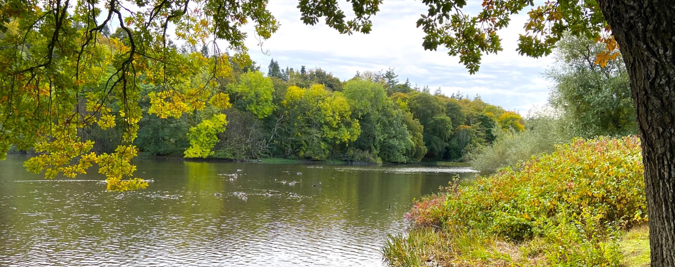 Podiatrists, Turriff Aberdeenshire