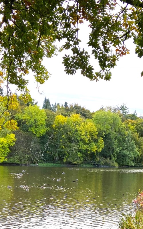 Podiatrists, Turriff Aberdeenshire